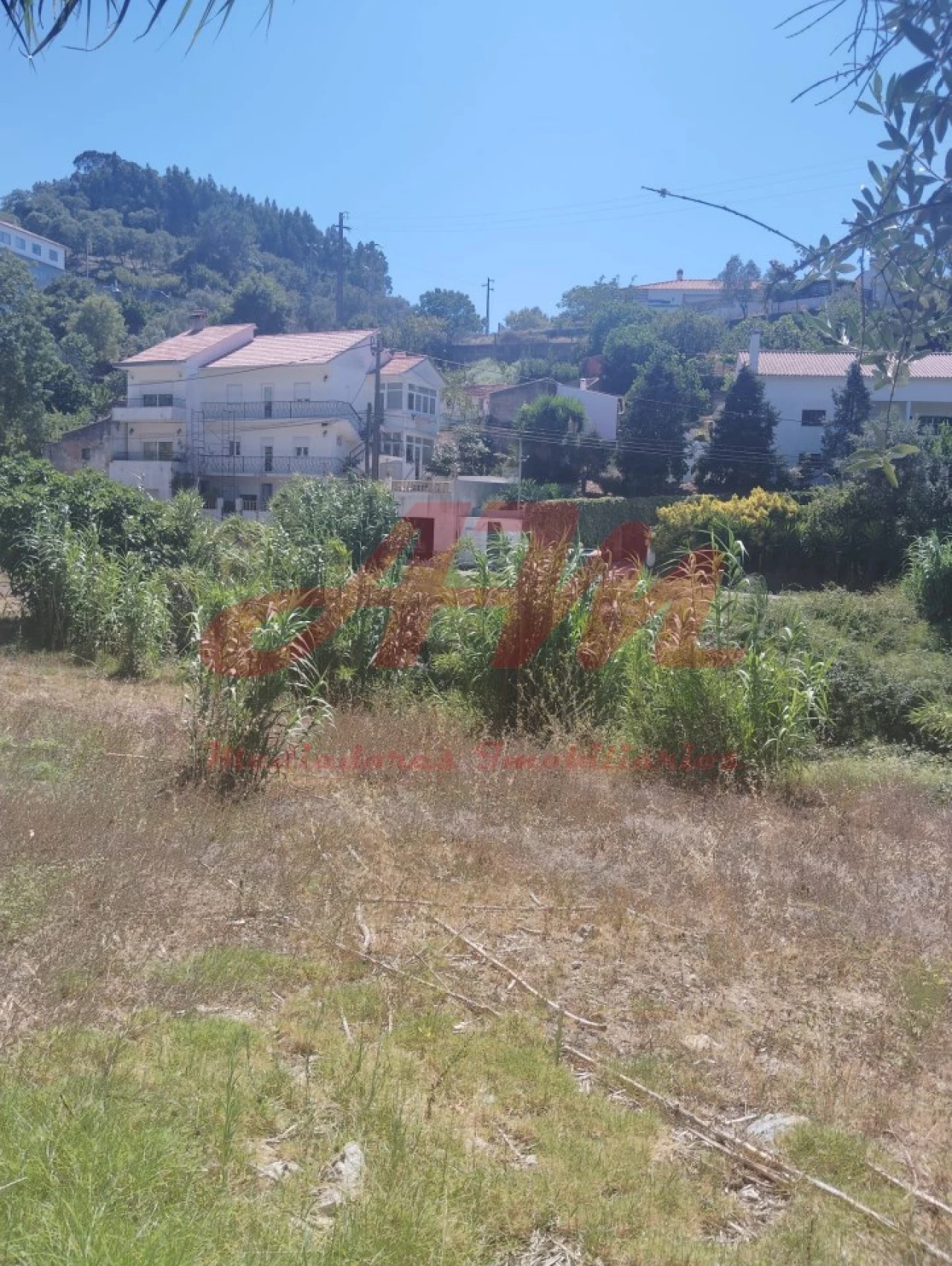 Terreno Agricola ou Rústico para Venda em Ramada e Caneças Foto 3