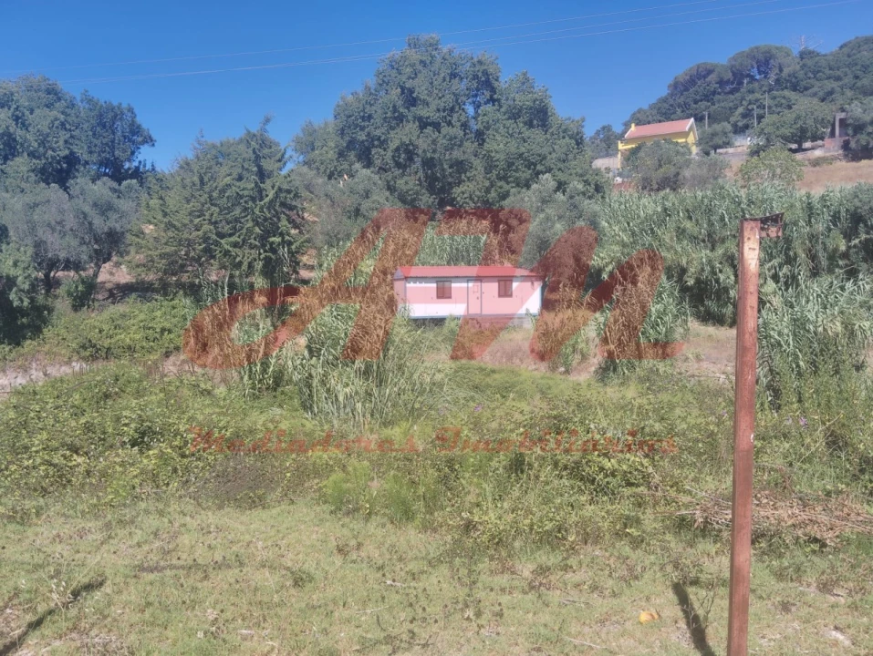 Terreno Agricola ou Rústico para Venda em Ramada e Caneças Foto 5