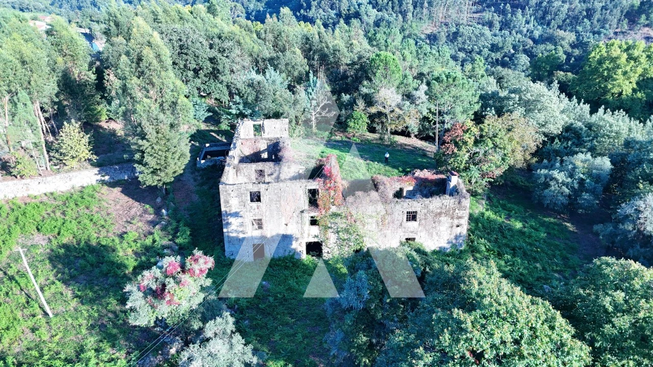 Quinta para Venda em Bouro (Santa Maria) Foto 3
