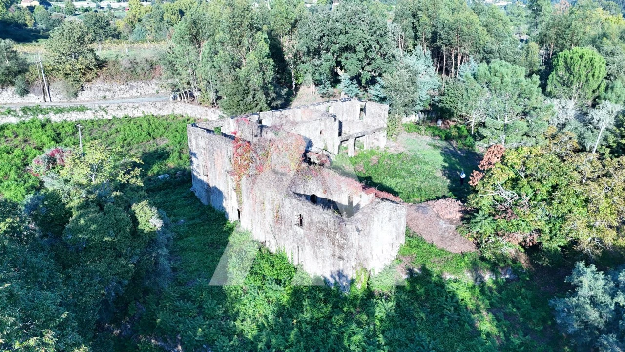 Quinta para Venda em Bouro (Santa Maria) Foto 4