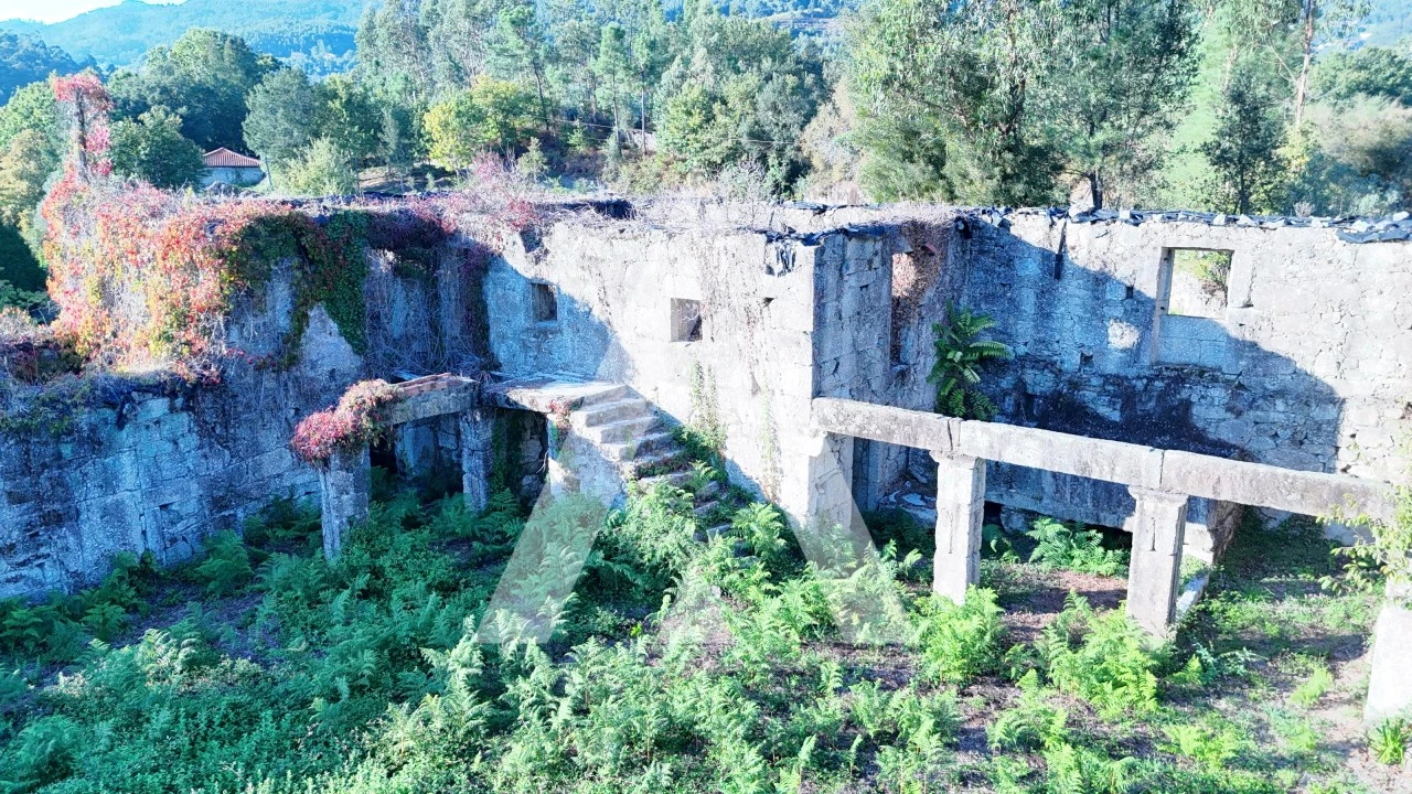 Quinta para Venda em Bouro (Santa Maria) Foto 7