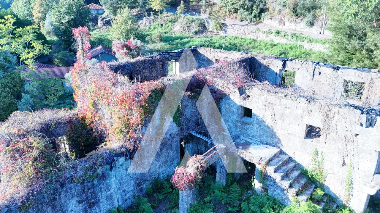 Quinta para Venda em Bouro (Santa Maria) Foto 8