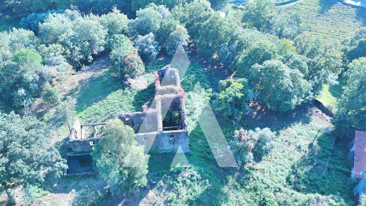 Quinta para Venda em Bouro (Santa Maria) Foto 22