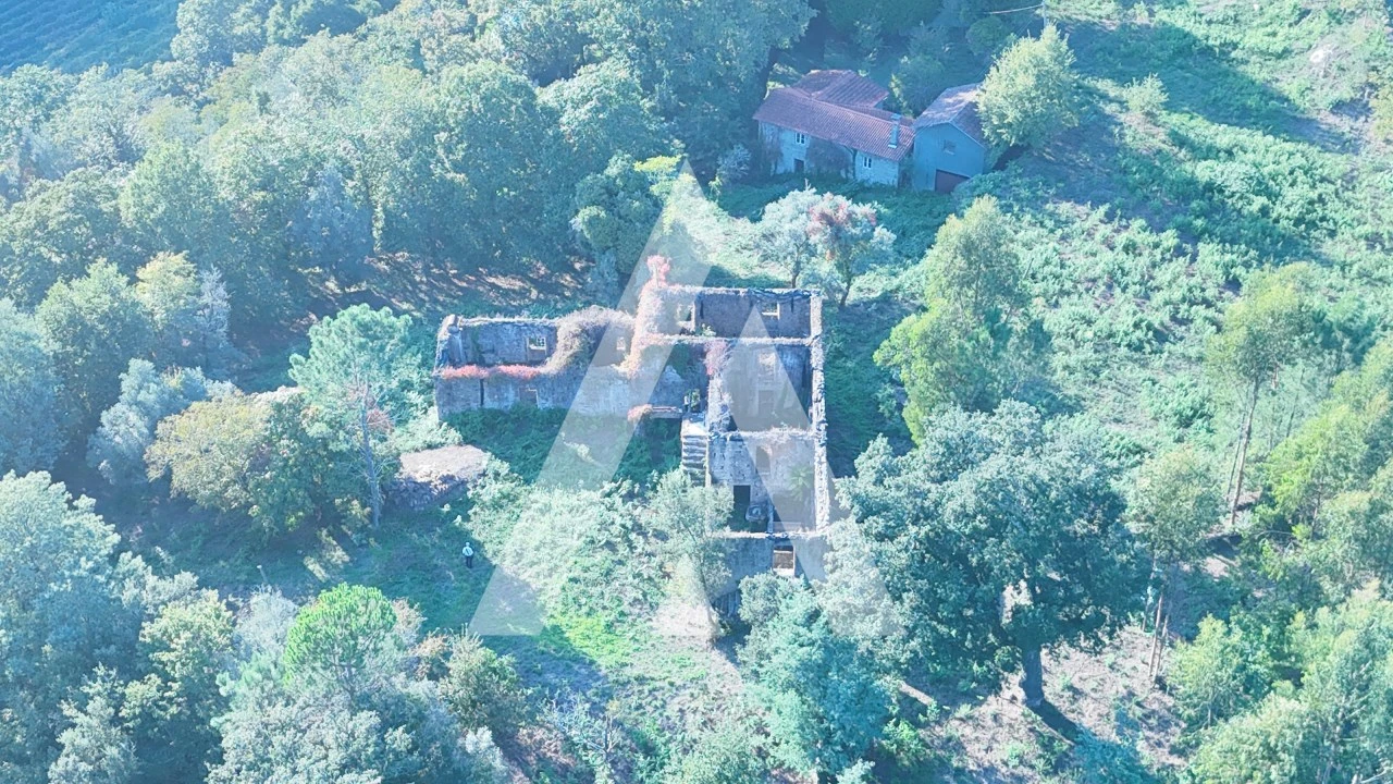 Quinta para Venda em Bouro (Santa Maria) Foto 26