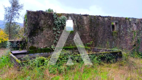 Quinta para Venda em Bouro (Santa Maria)