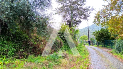 Quinta para Venda em Bouro (Santa Maria)