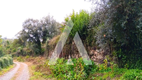 Quinta para Venda em Bouro (Santa Maria)