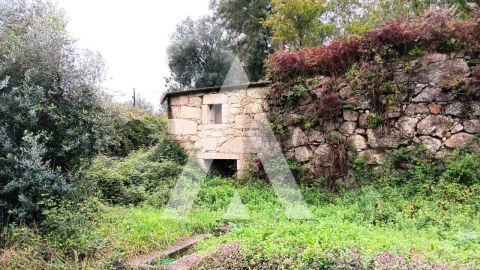 Quinta para Venda em Bouro (Santa Maria)