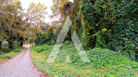 Quinta para Venda em Bouro (Santa Maria)