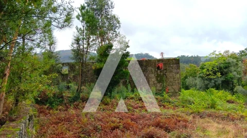 Quinta para Venda em Bouro (Santa Maria)