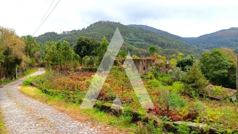 Quinta para Venda em Bouro (Santa Maria)