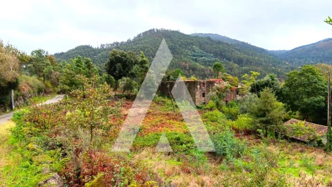 Quinta para Venda em Bouro (Santa Maria)