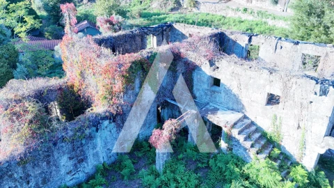 Quinta para Venda em Bouro (Santa Maria)