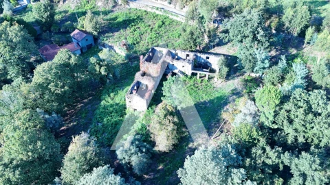 Quinta para Venda em Bouro (Santa Maria)