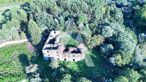 Quinta para Venda em Bouro (Santa Maria)