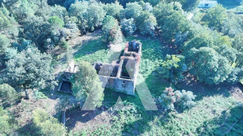 Quinta para Venda em Bouro (Santa Maria)