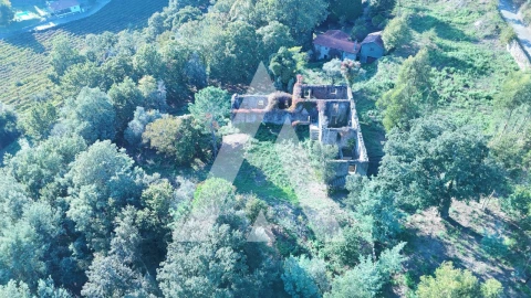 Quinta para Venda em Bouro (Santa Maria)