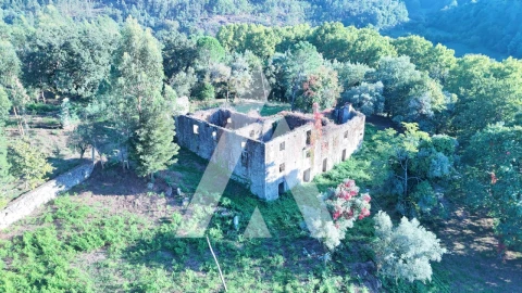 Quinta para Venda em Bouro (Santa Maria)