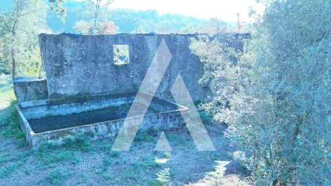 Quinta para Venda em Bouro (Santa Maria)