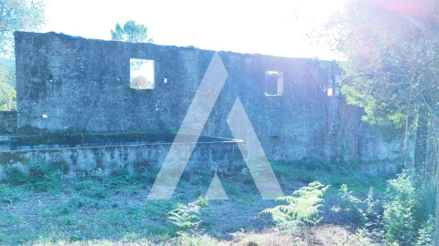Quinta para Venda em Bouro (Santa Maria)