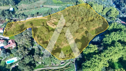 Quinta para Venda em Bouro (Santa Maria)