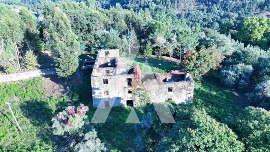 Quinta para Venda em Bouro (Santa Maria) Foto 3
