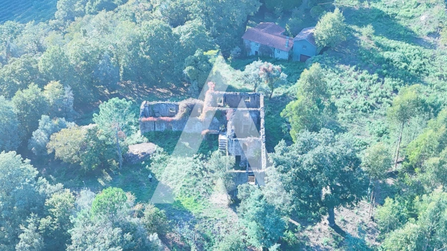 Quinta para Venda em Bouro (Santa Maria) Foto 26