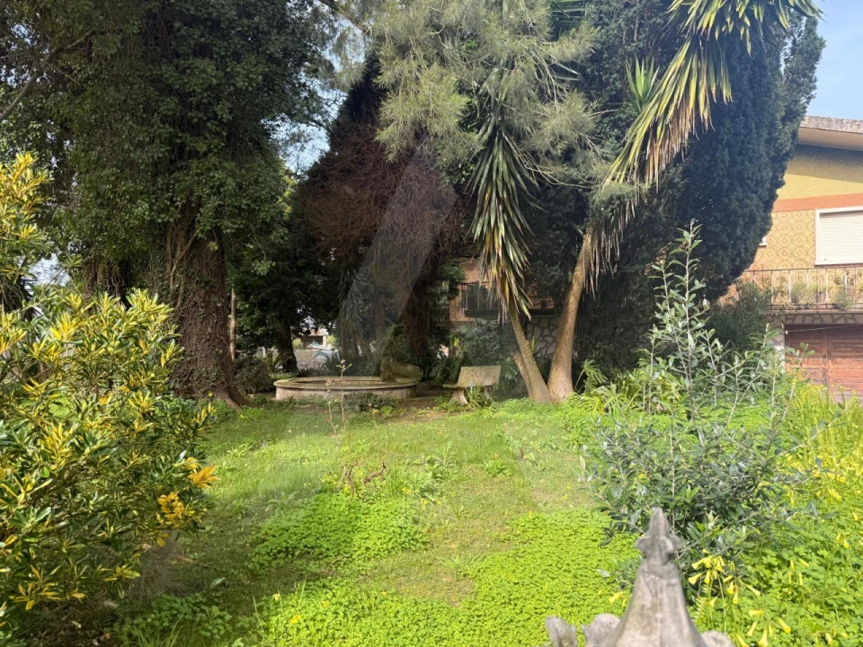 Moradia T6 para Venda em Requeixo, Nossa Senhora de Fátima e Nariz Foto 1