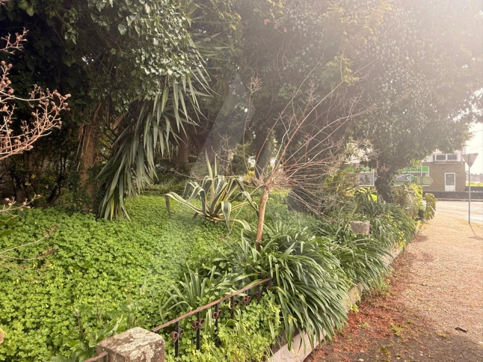 Moradia T6 para Venda em Requeixo, Nossa Senhora de Fátima e Nariz Foto 4