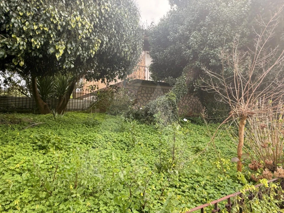 Moradia T6 para Venda em Requeixo, Nossa Senhora de Fátima e Nariz Foto 5