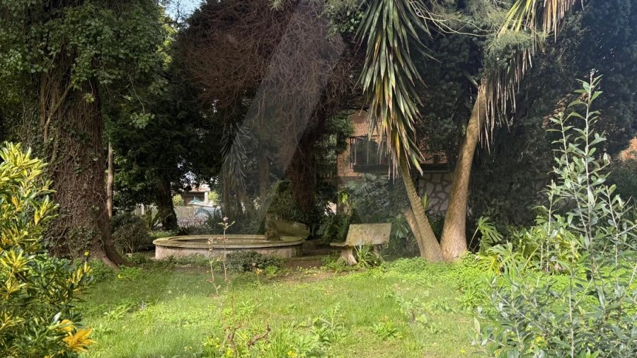 Moradia T6 para Venda em Requeixo, Nossa Senhora de Fátima e Nariz