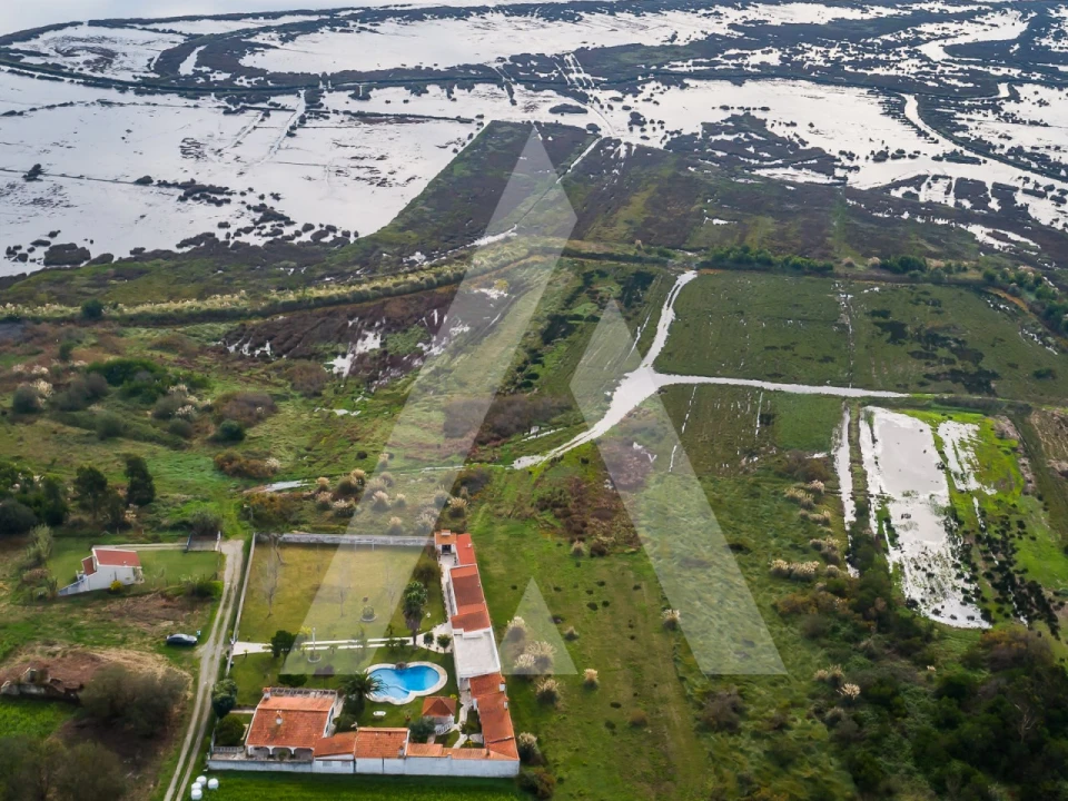 Moradia T4 para Venda em Ovar, São João, Arada e São Vicente de Pereira Jusã Foto 71