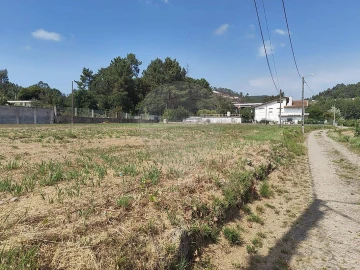 Terreno para Arrendamento em Macieira de Sarnes