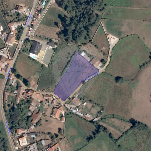 Terreno para Arrendamento em Macieira de Sarnes Foto 8