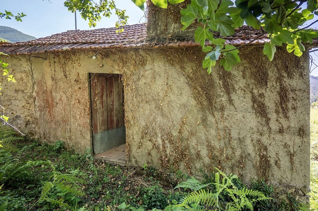 Terreno para Venda em São Pedro de Castelões Foto 2