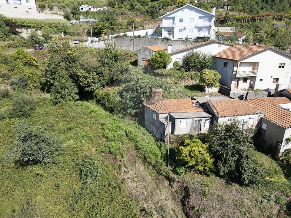 Terreno para Venda em São Pedro de Castelões Foto 10
