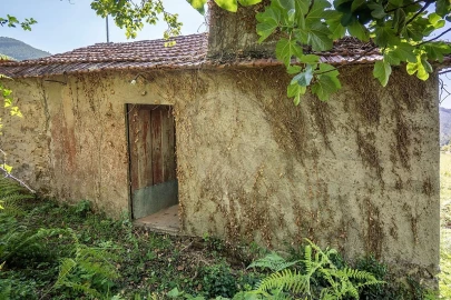 Terreno para Venda em São Pedro de Castelões