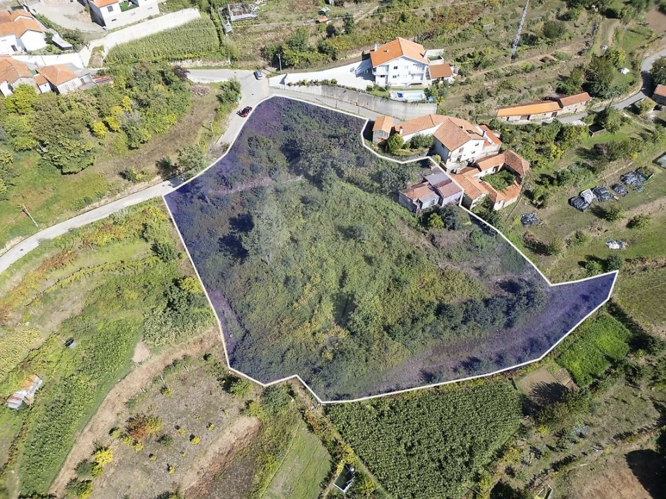 Terreno para Venda em São Pedro de Castelões Foto 28