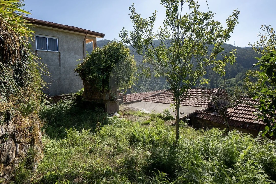 Terreno para Venda em São Pedro de Castelões Foto 32
