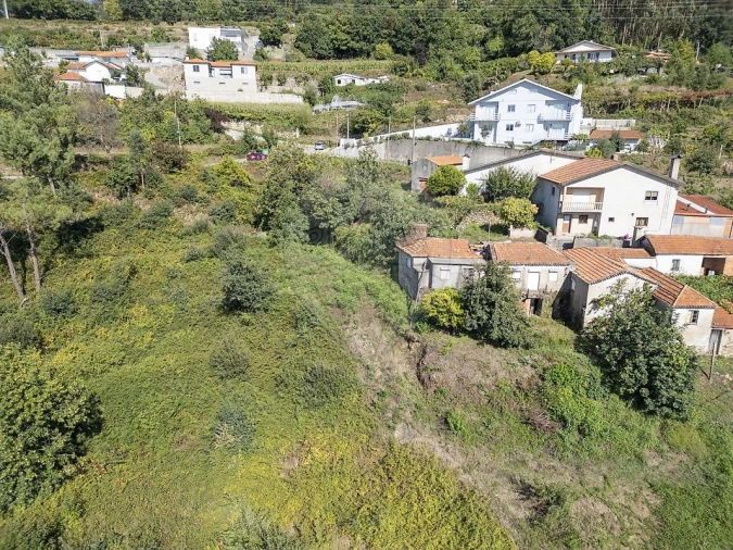 Terreno para Venda em São Pedro de Castelões Foto 34
