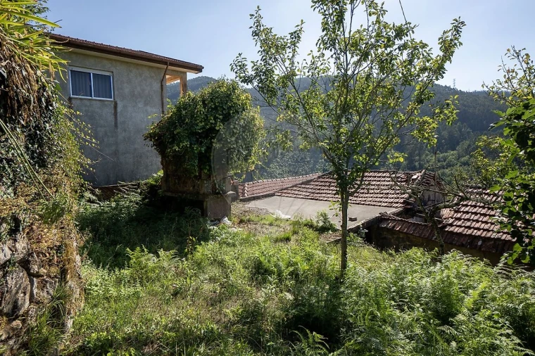 Terreno para Venda em São Pedro de Castelões Foto 32