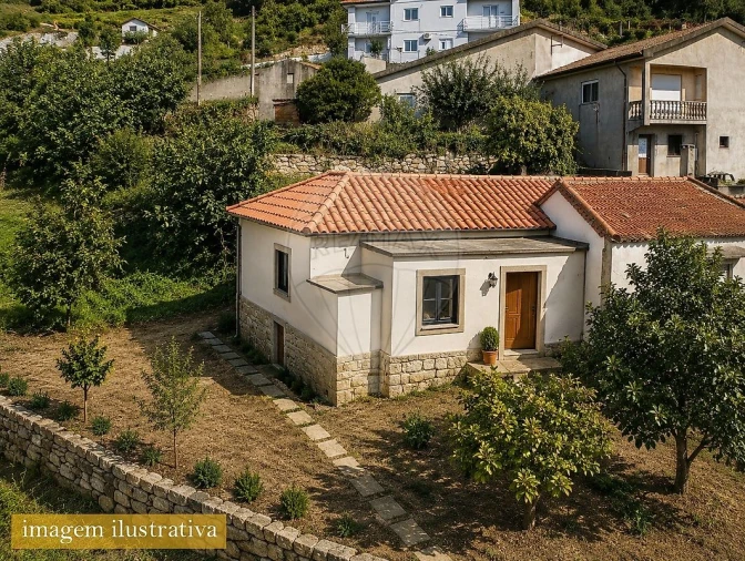 Terreno para Venda em São Pedro de Castelões Foto 12