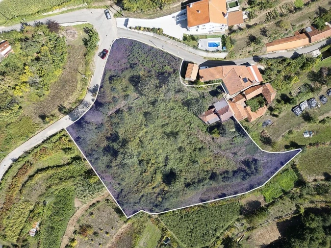 Terreno para Venda em São Pedro de Castelões Foto 6
