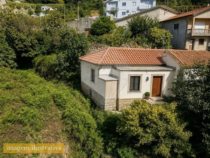 Terreno para Venda em São Pedro de Castelões Foto 13