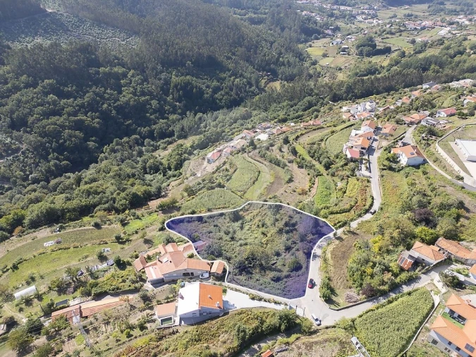Terreno para Venda em São Pedro de Castelões Foto 36