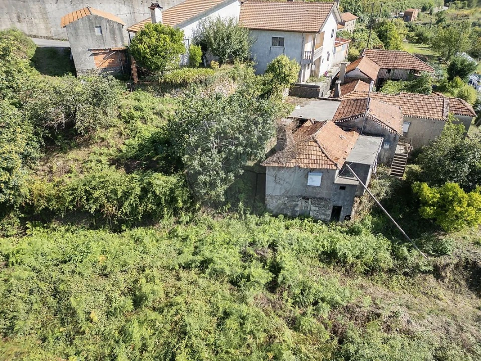 Terreno para Venda em São Pedro de Castelões Foto 4