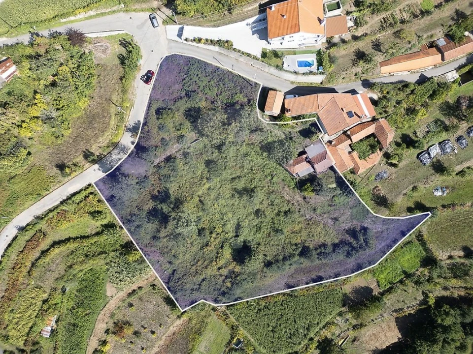 Terreno para Venda em São Pedro de Castelões Foto 6