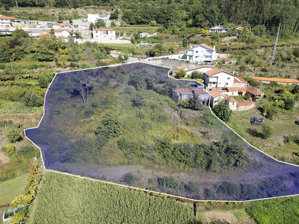 Terreno para Venda em São Pedro de Castelões Foto 1