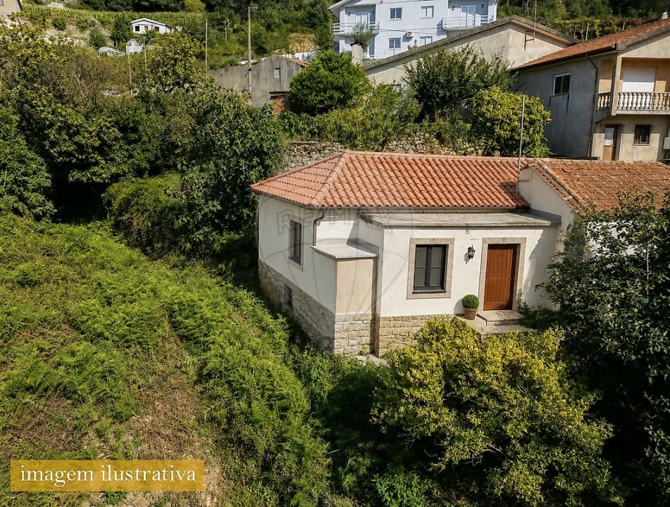 Terreno para Venda em São Pedro de Castelões Foto 13