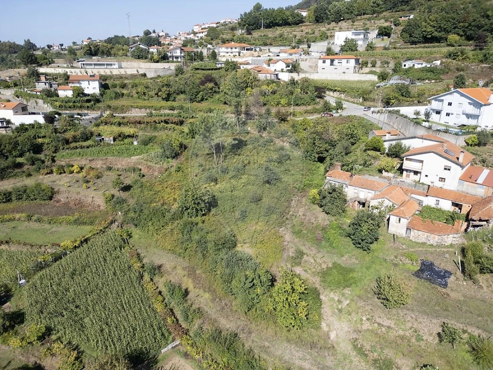Terreno para Venda em São Pedro de Castelões Foto 14